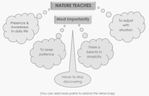 1.6 INTO THE WILD-MIND-MAPPING