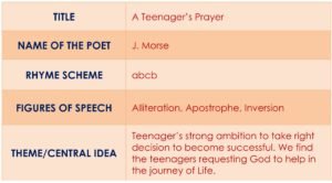 appreciation of poem_teenager's prayer