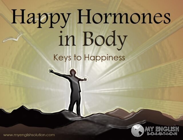 happy hormones in body